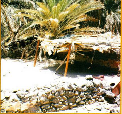 Existence of a roofed area in 1413 AH/1993 CE